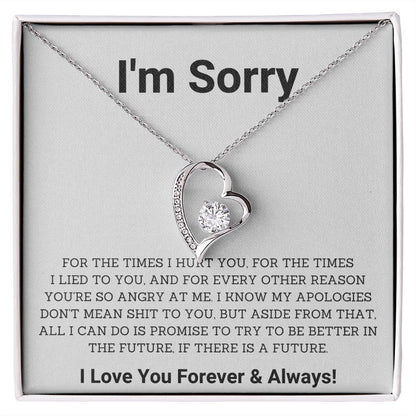 Saying Sorry in Style- Unique Im Sorry Gifts for Boyfriend, Girlfriend, Husband or Wife, Apology necklace, Forgiveness gift, I'm sorry necklace SNJW23-020310