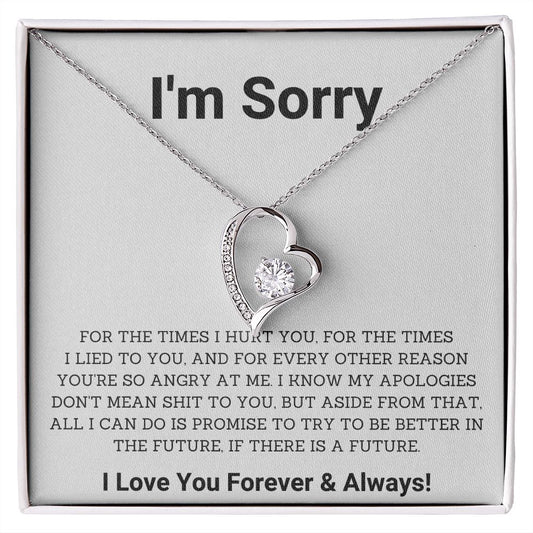 Saying Sorry in Style- Unique Im Sorry Gifts for Boyfriend, Girlfriend, Husband or Wife, Apology necklace, Forgiveness gift, I'm sorry necklace SNJW23-020310