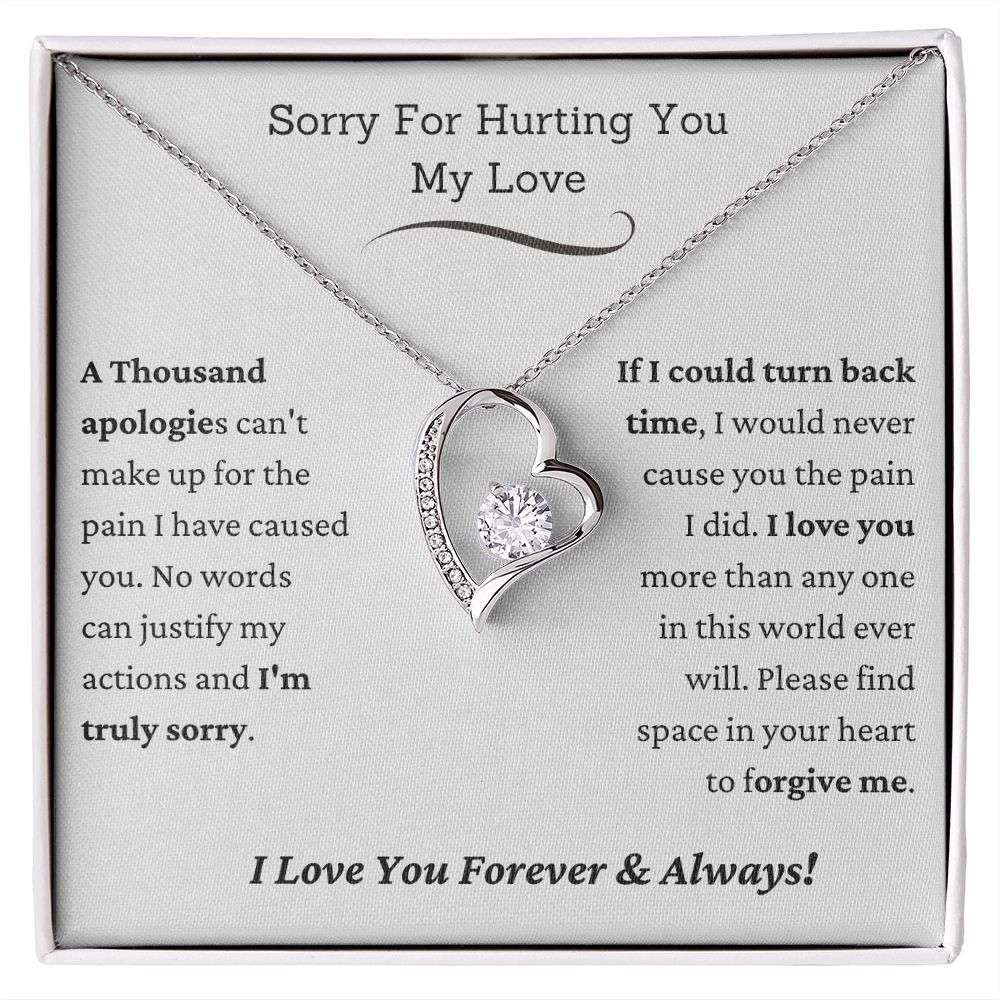 From the Heart: Meaningful Apology Gifts for the One You Love, I'm Sorry Gift For Her, Forgiveness Necklace, Apology Gift For Her, Sorry For Hurting You Necklace, Wife Gift From Husband, Apology Jewelry  SNJW23-020303
