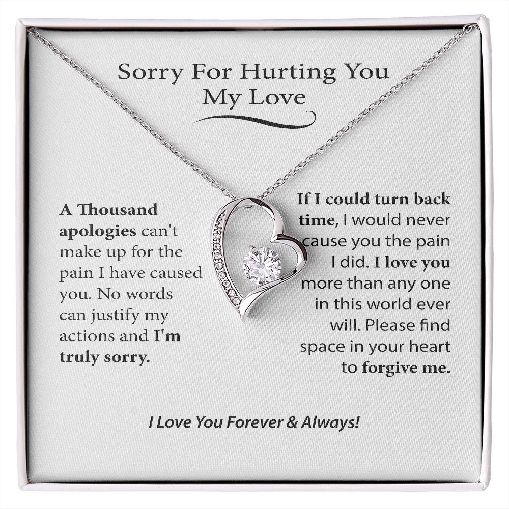 I'm Sorry Gift For Her, Forgiveness Necklace,B0BLLXT3Q8 JWSN110631