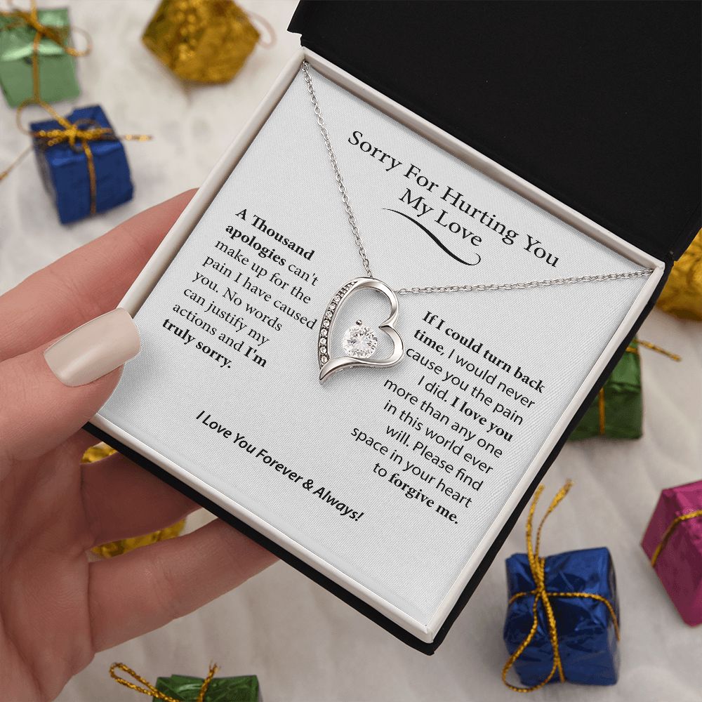 I'm Sorry Gift For Her, Forgiveness Necklace,B0BLLXT3Q8 JWSN110631