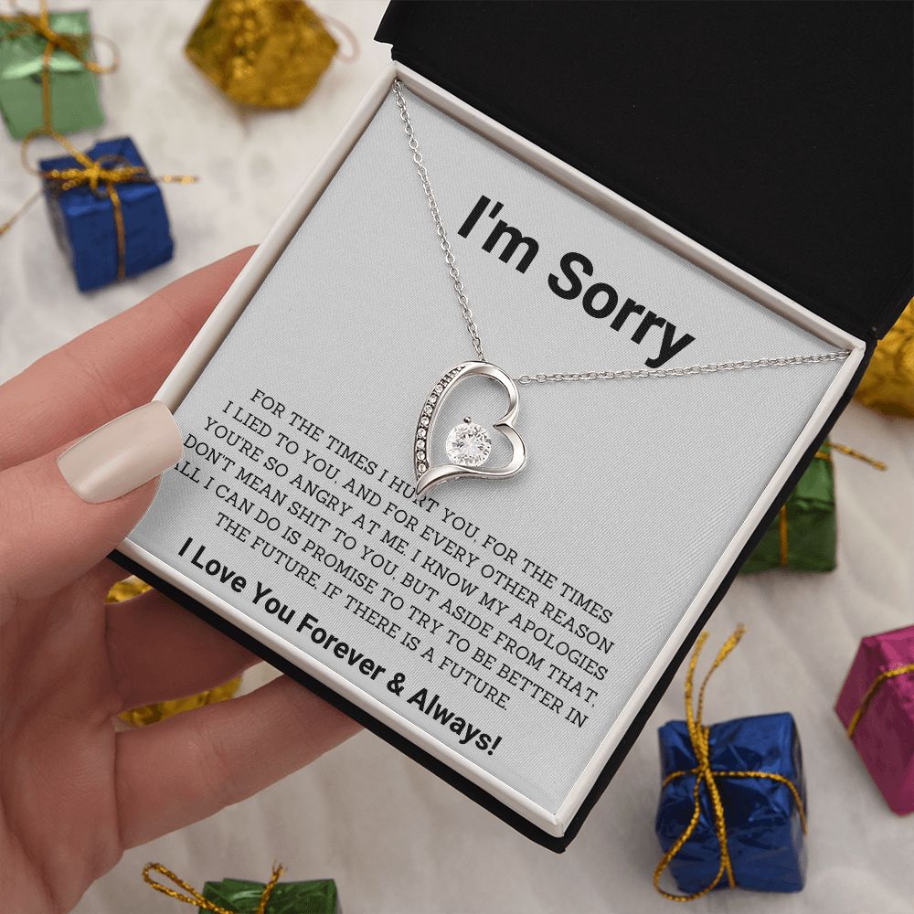 Saying Sorry in Style- Unique Im Sorry Gifts for Boyfriend, Girlfriend, Husband or Wife, Apology necklace, Forgiveness gift, I'm sorry necklace SNJW23-020310