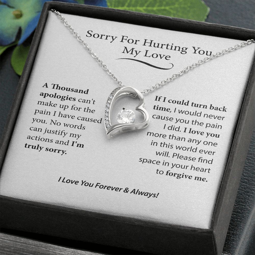 I'm Sorry Gift For Her, Forgiveness Necklace,B0BLLXT3Q8 JWSN110631