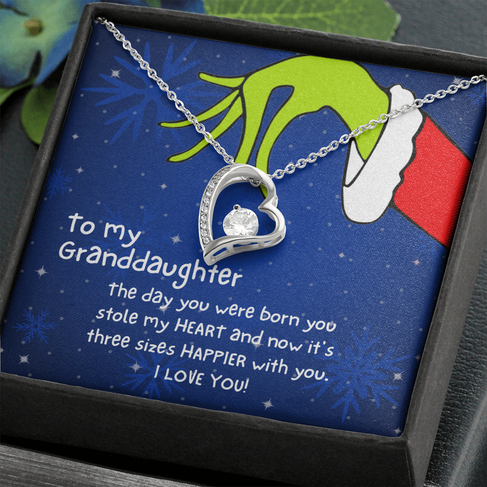 Christmas Necklace Gift to Granddaughter - The day you were born you stole my heart - JWshinee