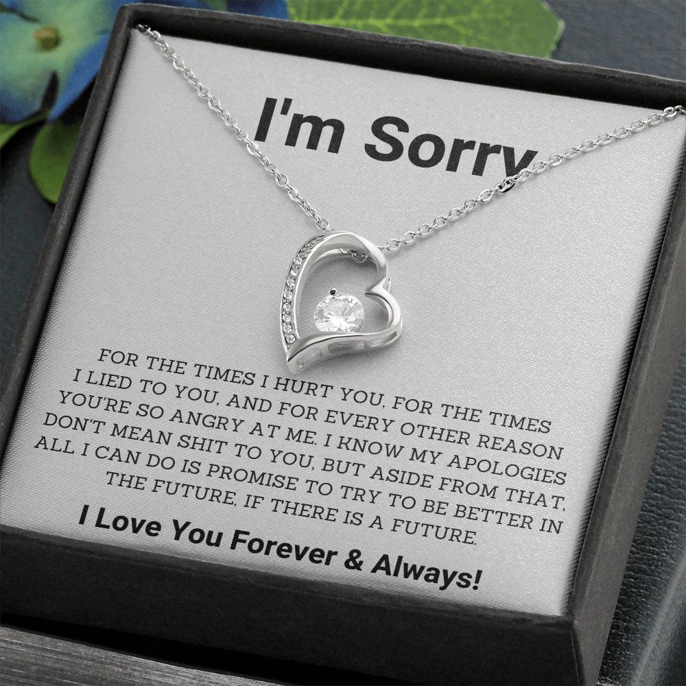 Saying Sorry in Style- Unique Im Sorry Gifts for Boyfriend, Girlfriend, Husband or Wife, Apology necklace, Forgiveness gift, I'm sorry necklace SNJW23-020310