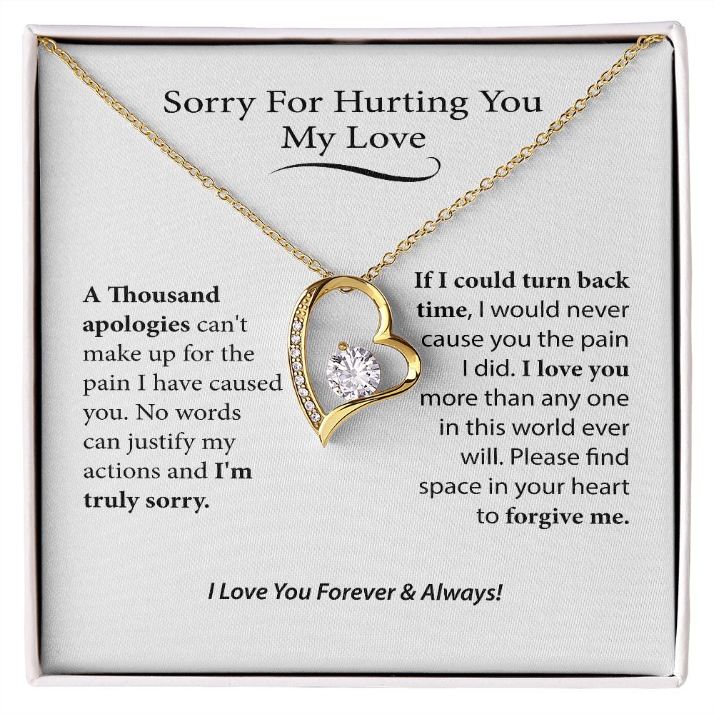 I'm Sorry Gift For Her, Forgiveness Necklace,B0BLLXT3Q8 JWSN110631