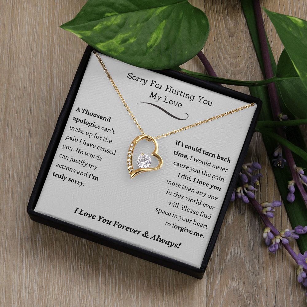 From the Heart: Meaningful Apology Gifts for the One You Love, I'm Sorry Gift For Her, Forgiveness Necklace, Apology Gift For Her, Sorry For Hurting You Necklace, Wife Gift From Husband, Apology Jewelry  SNJW23-020303