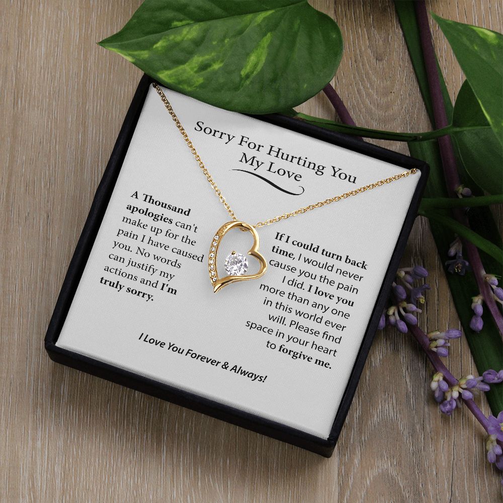 I'm Sorry Gift For Her, Forgiveness Necklace,B0BLLXT3Q8 JWSN110631