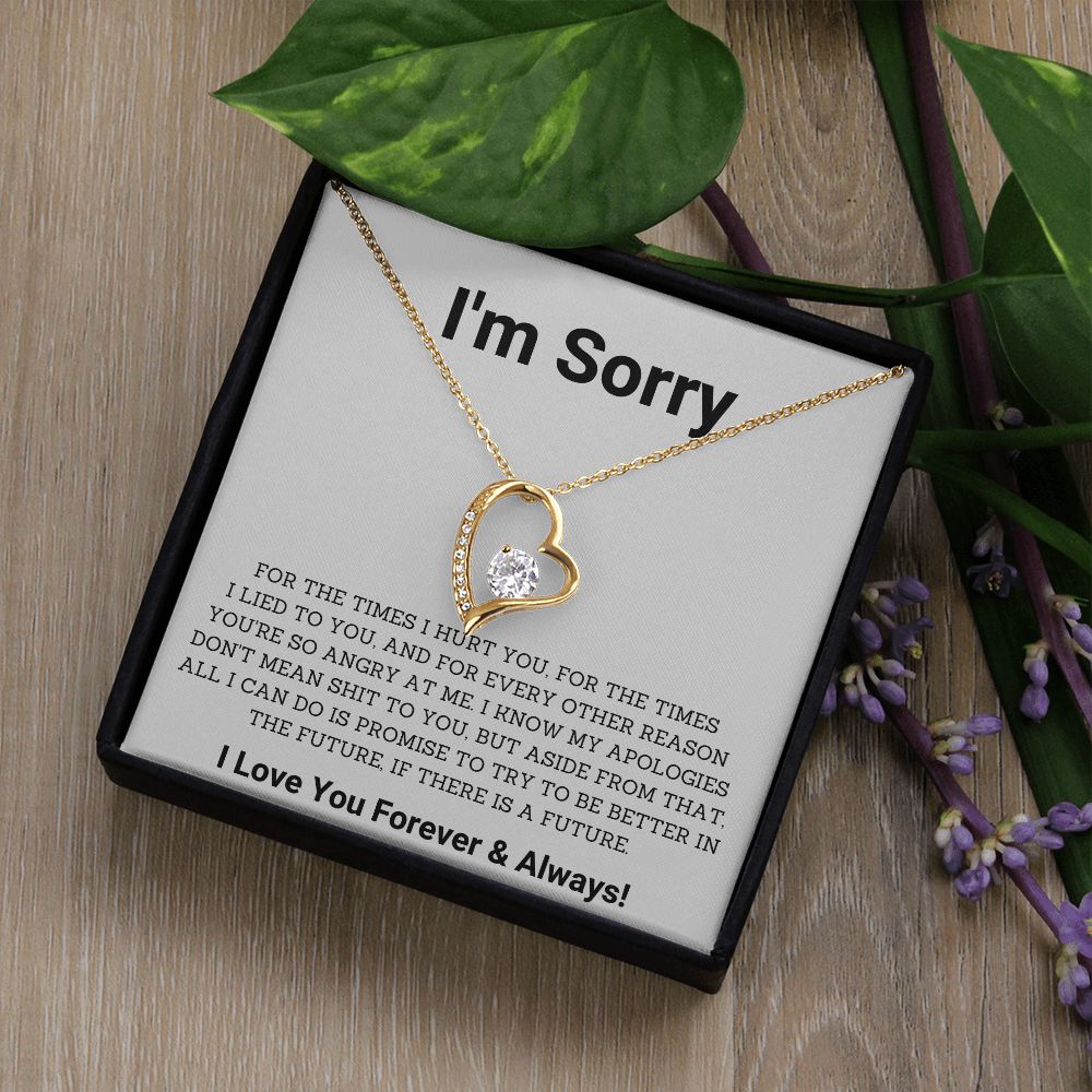 Saying Sorry in Style- Unique Im Sorry Gifts for Boyfriend, Girlfriend, Husband or Wife, Apology necklace, Forgiveness gift, I'm sorry necklace SNJW23-020310