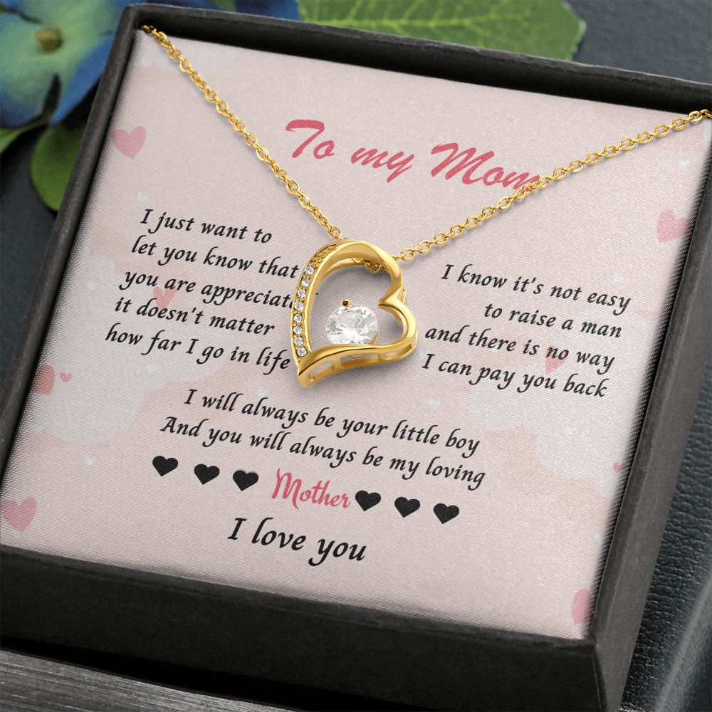 Necklace for Mom, Celebrate Mom's Unconditional Love with a Heart-Shaped Necklace - Perfect Mother's Day Gift from Son or Daughter , Mothers Day Gift From Son Daughter, Mother's day gift SNJW23-170311