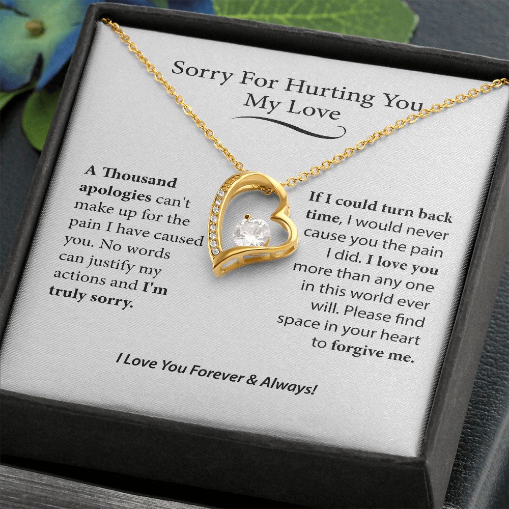I'm Sorry Gift For Her, Forgiveness Necklace,B0BLLXT3Q8 JWSN110631