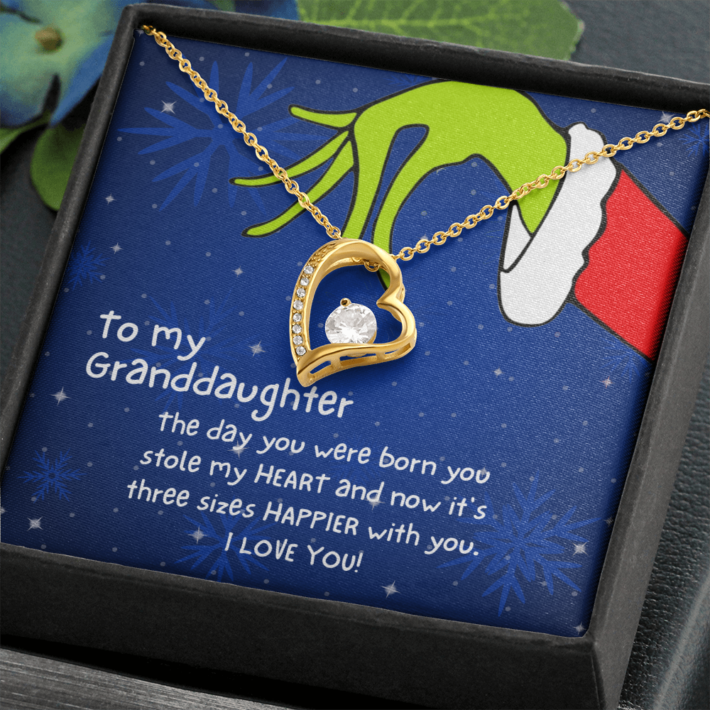 Christmas Necklace Gift to Granddaughter - The day you were born you stole my heart - JWshinee