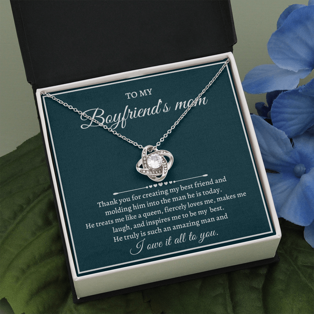 Mother's Day Gift for Boyfriend's Mom - I owe it all to you - JWshinee