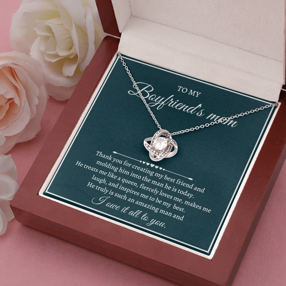 Mother's Day Gift for Boyfriend's Mom - I owe it all to you - JWshinee
