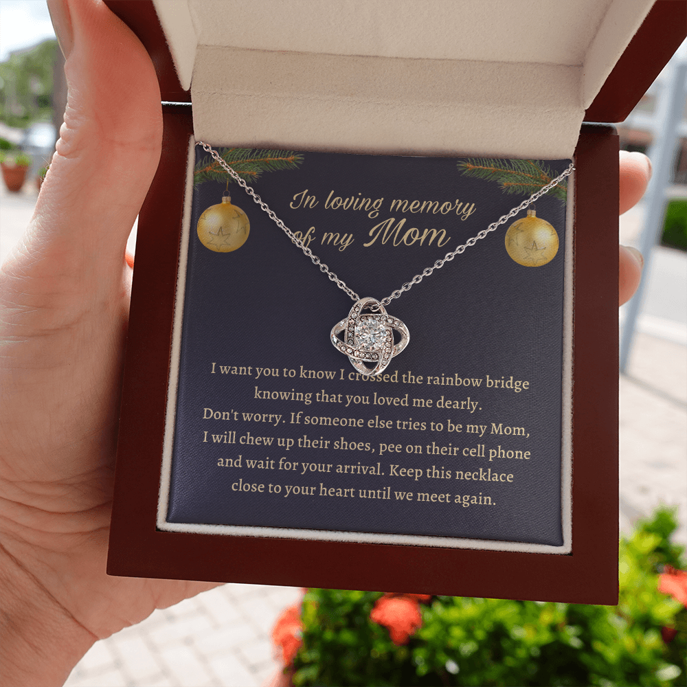Remembrance Gift for daughter - Keep this necklace close to your heart until we meet again - JWshinee